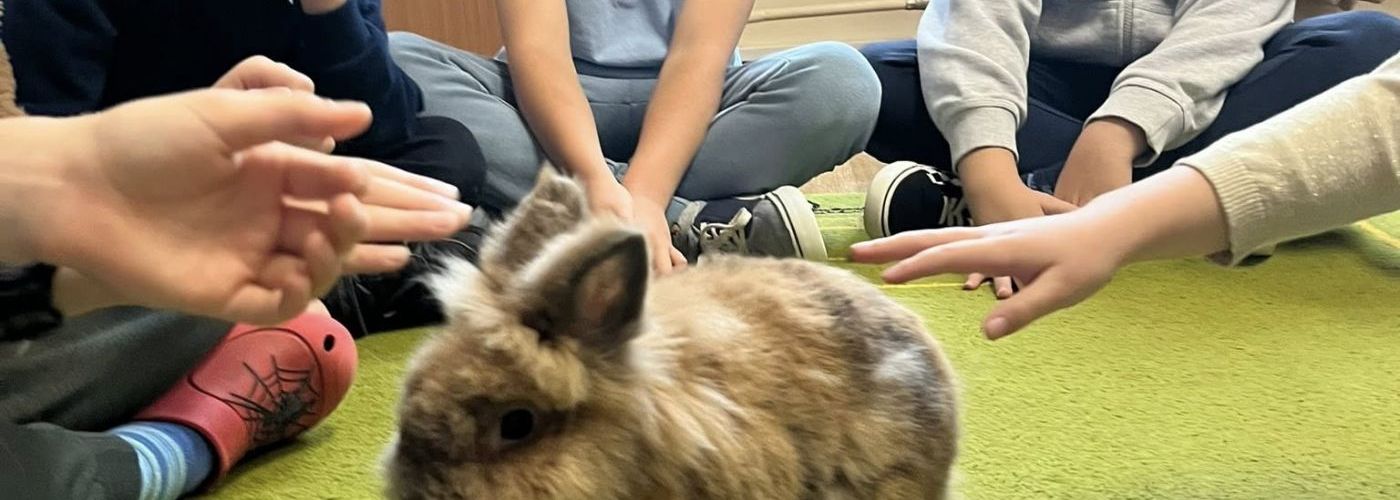 Spotkanie z wyjątkowym gościem – królikiem Niką!